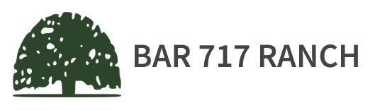 Bar 717