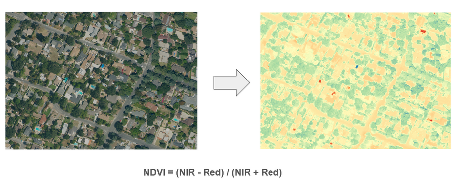 ndvi